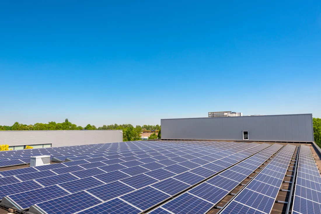 Zonnepanelen