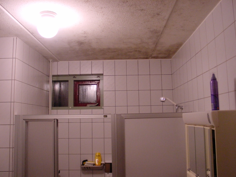 Morgen Mooier Wonen Plameco Plafonds Morgen Mooier Wonen Plameco Plafonds