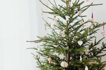 Weihnachtsbaum – Christbaum – Oh, Tannenbaum